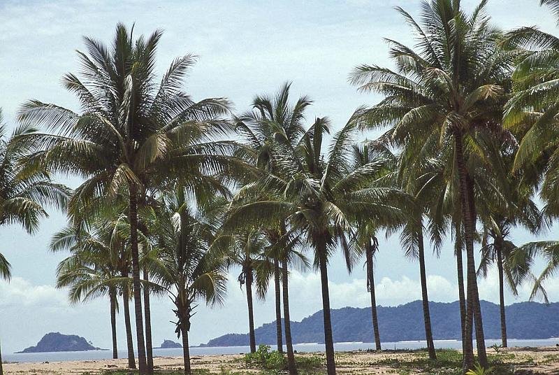 WT 0700 115-17 Malaysia.jpg